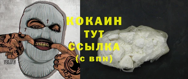 амф Арсеньев