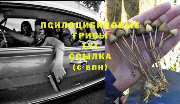 гидропоника Армянск