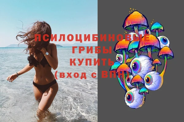 мяу мяу мука Карпинск