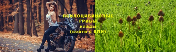 гидропоника Армянск